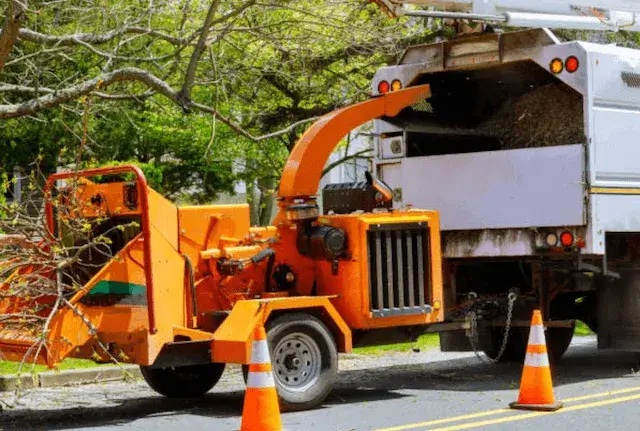 tree removal fairfield
