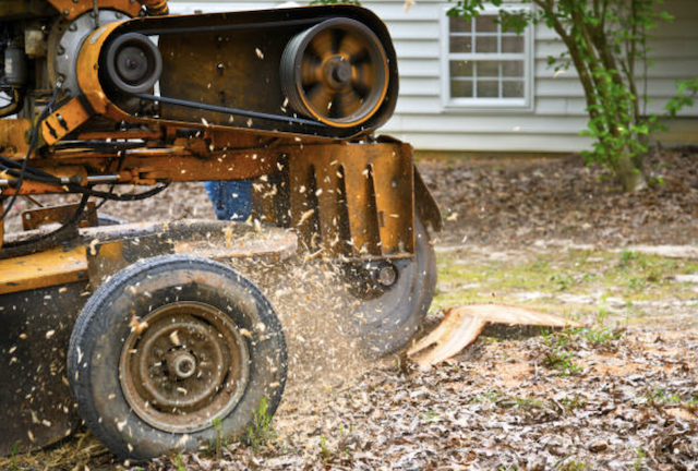 stump grinding fairfield ct